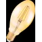 Лампа светодиодная филаментная Vintage 1906 LED CL OVAL FIL GOLD 40 non-dim 4 5W/825 E27 | 4058075091979 | Osram