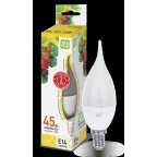                  Лампа светодиодная LED-СВЕЧА НА ВЕТРУ-standard 5Вт 230В Е14 3000К 450Лм | 4690612004518 | ASD
               