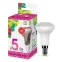 Лампа светодиодная LED-R50-standard 5Вт 230В Е14 6500К 450Лм | 4690612026701 | ASD