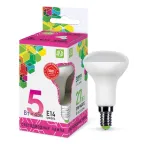                  Лампа светодиодная LED-R50-standard 5Вт 230В Е14 6500К 450Лм | 4690612026701 | ASD
               