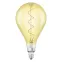 Лампа светодиодная LED, филаментная, золотистая, Vintage 1906 LED CL A160 FIL GOLD 28 non-dim 5W/820 E27 | 4058075091993 | Osram