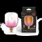 Лампа светодиодная LED Filament Flexible V140-DC Pink-Clear E27 5W 200lm 1800K 140*200mm 1/6 | 1010802105 | Gauss