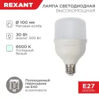 Лампа светодиодная высокомощная 30 Вт E27 с переходником на E40 2850 лм 6500 K холодный свет | 604-069 | Rexant