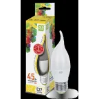                 Лампа светодиодная LED-СВЕЧА НА ВЕТРУ-standard 5Вт 230В Е27 3000К 450Лм | 4690612004532 | ASD
               