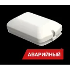 Светильник светодиодный Луна Eco GP 10Вт 1100Лм 4000K IP50 Аварийный | DLEcoGP10-4K-A | Diora