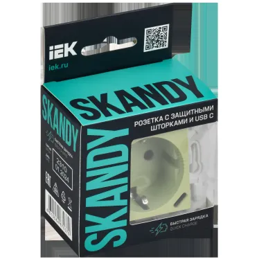 SKANDY Розетка с заземлением с защитными шторками 16А с USB C 18Вт SK-R17G мятный IEK