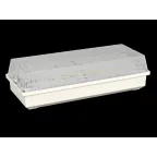Светильник аварийного освещения BS-UNIVERSAL-83-L1-INEXI3-FELS | a17411 | Белый свет
