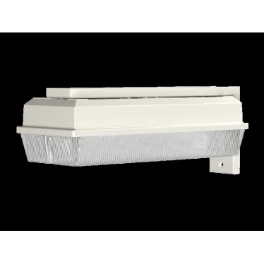 Светильник аварийного освещения BS-UNIVERSAL-83-L1-INEXI3-FELS | a17411 | Белый свет