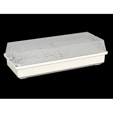 Световой указатель аварийного освещения светодиодный BS-UNIVERSAL-53-L1-INEXI2 13,4Вт 3ч IP65 универсальный накладной | a15637 | Белый свет