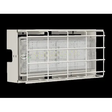 Световой указатель аварийного освещения светодиодный BS-UNIVERSAL-53-L1-INEXI2 13,4Вт 3ч IP65 универсальный накладной | a15637 | Белый свет