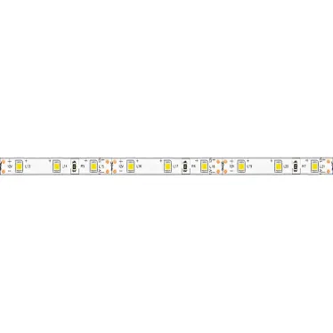 Лента светодиодная LEDх60/м 1м 4.8w/m 12в IP65 дневной
