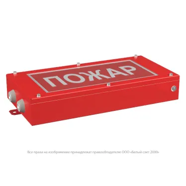 Указатель аварийный светодиодный BS-CANRON-71-S1-INEXI2 11,4Вт 1ч постоянный накладной IP65 | a15569 | Белый свет