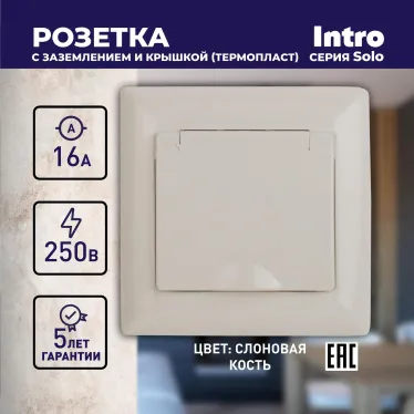 Розетка 2P+E Schuko с крышкой, 16А-250В, СУ, Solo, сл.кость, 4-203-02