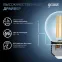 Лампа светодиодная Black LED Filament Шар E27 11W 750lm 4100K | 105802211 | Gauss