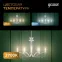 Лампа светодиодная Black LED Filament Шар E27 11W 720lm 2700K | 105802111 | Gauss