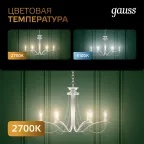 Лампа светодиодная Black LED Filament Шар E27 9W 680lm 2700K | 105802109 | Gauss