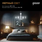 Лампа светодиодная Black LED Filament Шар E27 9W 680lm 2700K | 105802109 | Gauss