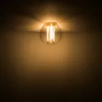 Лампа светодиодная Black LED Filament Шар E14 11W 720lm 2700K | 105801111 | Gauss