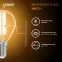 Лампа светодиодная Black LED Filament Шар E14 11W 720lm 2700K | 105801111 | Gauss