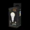Лампа светодиодная Black LED A70 22W E27 1560lm 3000K | 102502122 | Gauss