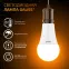 Лампа светодиодная Black LED A70 22W E27 1560lm 3000K | 102502122 | Gauss