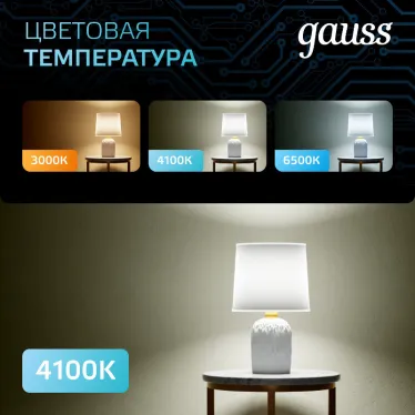 Лампа светодиодная Black LED A70 22W E27 1640lm 4100K | 102502222 | Gauss