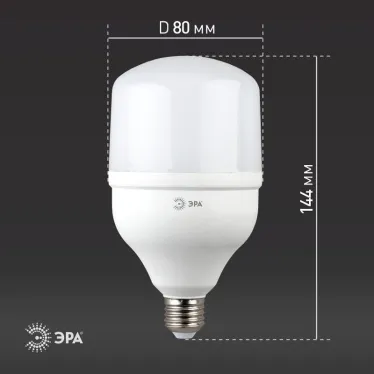 Лампа светодиодная LED 20Вт Е27 220В 6500К smd POWER | Б0027011 | ЭРА