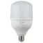 Лампа светодиодная LED 20Вт Е27 220В 6500К smd POWER | Б0027011 | ЭРА