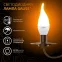 Лампа светодиодная Gauss LED Свеча на ветру E14 9.5W 890lm 3000K | 104101110 | Gauss