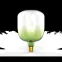 Лампа светодиодная LED Filament Flexible V140-DC Green-Clear E27 5W 200lm 1800K 140*200mm 1/6 | 1009802105 | Gauss