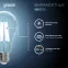 Лампа светодиодная Filament А60 20W 1850lm 4100К Е27 LED /10/40 | 1029022201 | Gauss