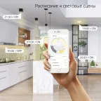 Лампа светодиодная филаментная Smart Home DIM E14 CF35 4,5 Вт 1/10/40 | 1260112 | Gauss