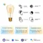 Лампа светодиодная филаментная Smart Home DIM+CCT E27 ST64 Golden 6,5 Вт 2000-5500 К 1/10/40 | 1310112 | Gauss