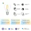 Лампа светодиодная филаментная Smart Home DIM+CCT E27 A60 6,5Вт 2000-6500 К 1/10/40 | 1220112 | Gauss