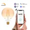 Лампа светодиодная филаментная Smart Home DIM E27 G95 Golden 7 Вт 1/40 | 1320112 | Gauss