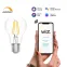 Лампа светодиодная филаментная Smart Home DIM E27 A60 7 Вт 1/10/40 | 1200112 | Gauss