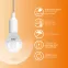 Лампа светодиодная LED Elementary Шар 12W 880lm E14 3000K | 53112 | Gauss