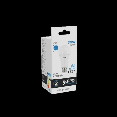 Лампа светодиодная LED Elementary A67 30W E27 2390lm 6500K | 73239 | Gauss