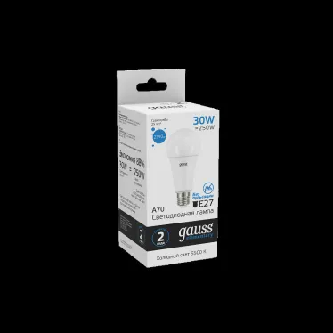 Лампа светодиодная LED Elementary A67 30W E27 2390lm 6500K | 73239 | Gauss