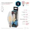 Лампа светодиодная F-LED BTW-5W-840-E14 Лампы СВЕТОДИОДНЫЕ F-LED ЭРА (филамент, свеча витая, 5Вт, нейтр, E14) | Б0027936 | ЭРА