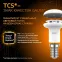 Лампа светодиодная LED 4Вт E14 220В 2700К Reflector R39 | 106001104 | Gauss