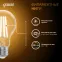 Лампа светодиодная Filament А60 12W 1200lm 2700К Е27 LED | 102902112 | Gauss