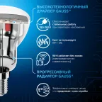 Лампа светодиодная R50 6W 530lm 6500K Е14 LED 1/10/100 | 106001306 | Gauss