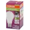 Лампа светодиодная LED Antibacterial A 8,5W/840 230VFR E27 10X1 | 4058075561199 | OSRAM