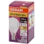 Лампа светодиодная LED Antibacterial P 4,9W/827 230VFR E14 10X1 | 4058075561571 | OSRAM
