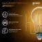 Лампа светодиодная Filament А60 20W 1800lm 2700К Е27 LED | 102902120 | Gauss