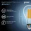 Лампа светодиодная Filament А70 26W 2700lm 4100К Е27 LED 1/10/40 | 102902226 | Gauss