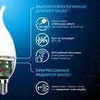 Лампа светодиодная Свеча на ветру 9.5W 950lm 6500K E14 LED 1/10/50 | 104101310 | Gauss