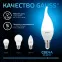 Лампа светодиодная Свеча на ветру 9.5W 950lm 6500K E14 LED 1/10/50 | 104101310 | Gauss