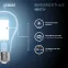 Лампа светодиодная Filament А70 26W 2700lm 4100К Е27 LED 1/10/40 | 102902226 | Gauss